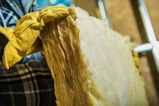 Best Insulation Removal Services  in Monon, IN