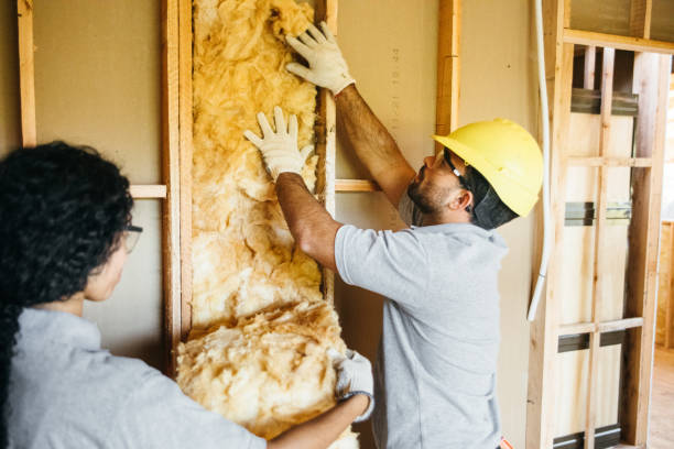 Best Insulation Removal  in Monon, IN