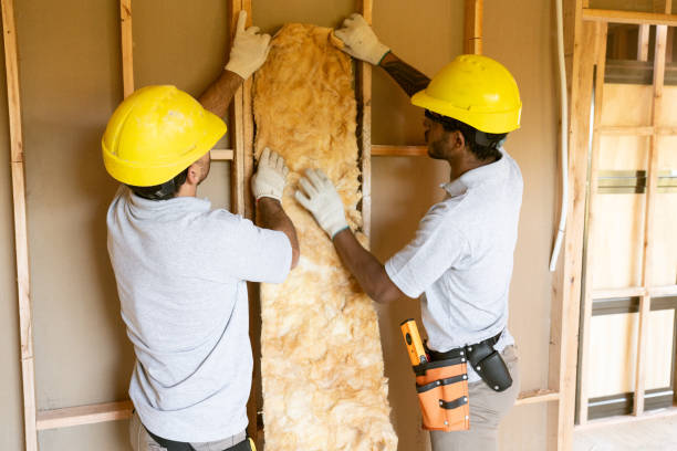 Best Best Insulation Companies  in Monon, IN