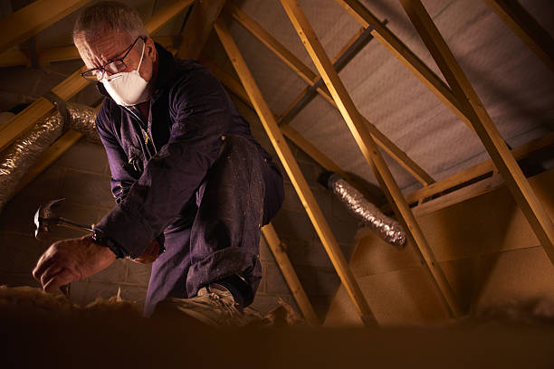 Best Spray Foam Insulation  in Monon, IN
